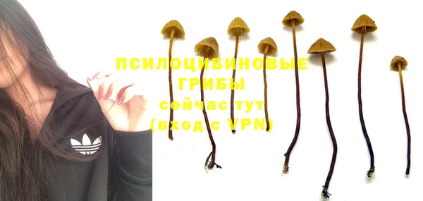 гашишное масло Инсар