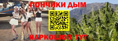 стафф Кингисепп