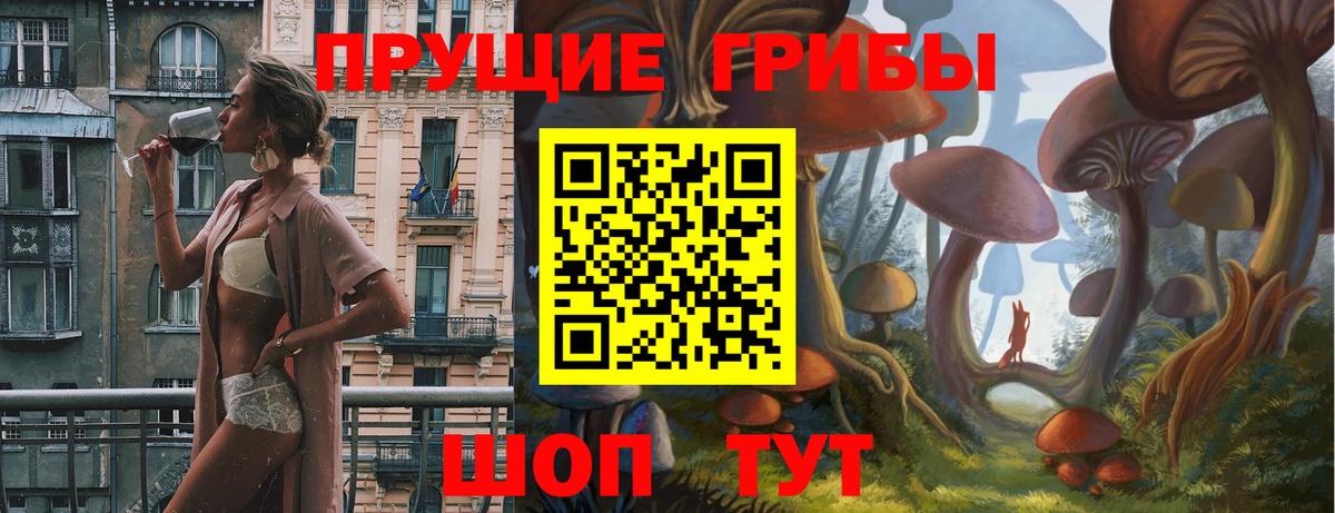 Советск  хочу наркоту  Вход с VPN  Галлюциногенные грибы Cubensis 
