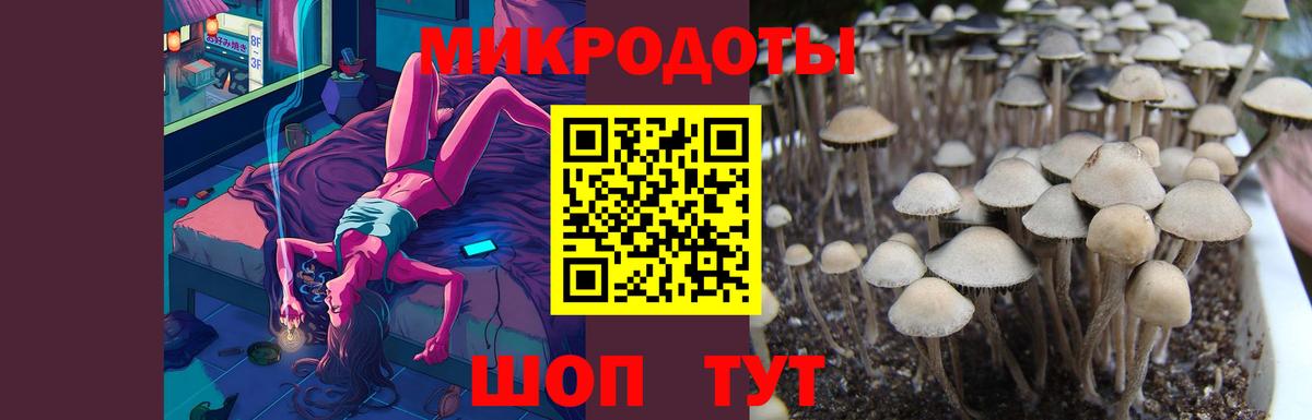  Cocaine Советск